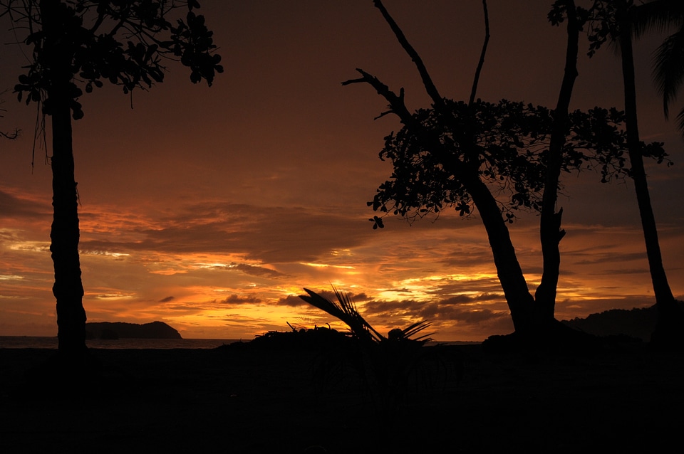 Nature light sky