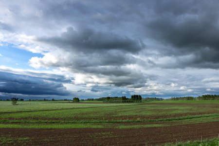 Sky Cloud Grassland Field