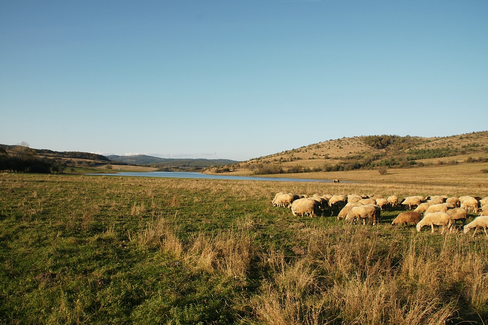 Field fall countryside