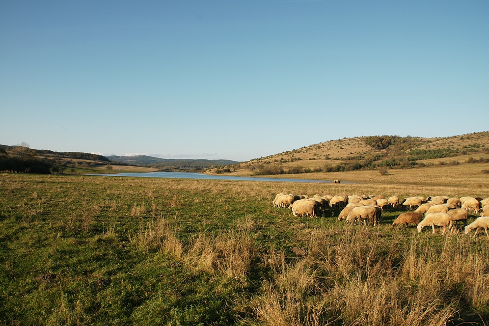 Field fall countryside photo