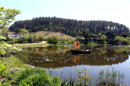 Reflection Water Nature Body Of Water photo