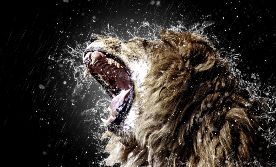 Wildlife Water Roar Phenomenon