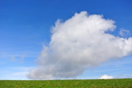 Sky Cloud Grassland Cumulus photo