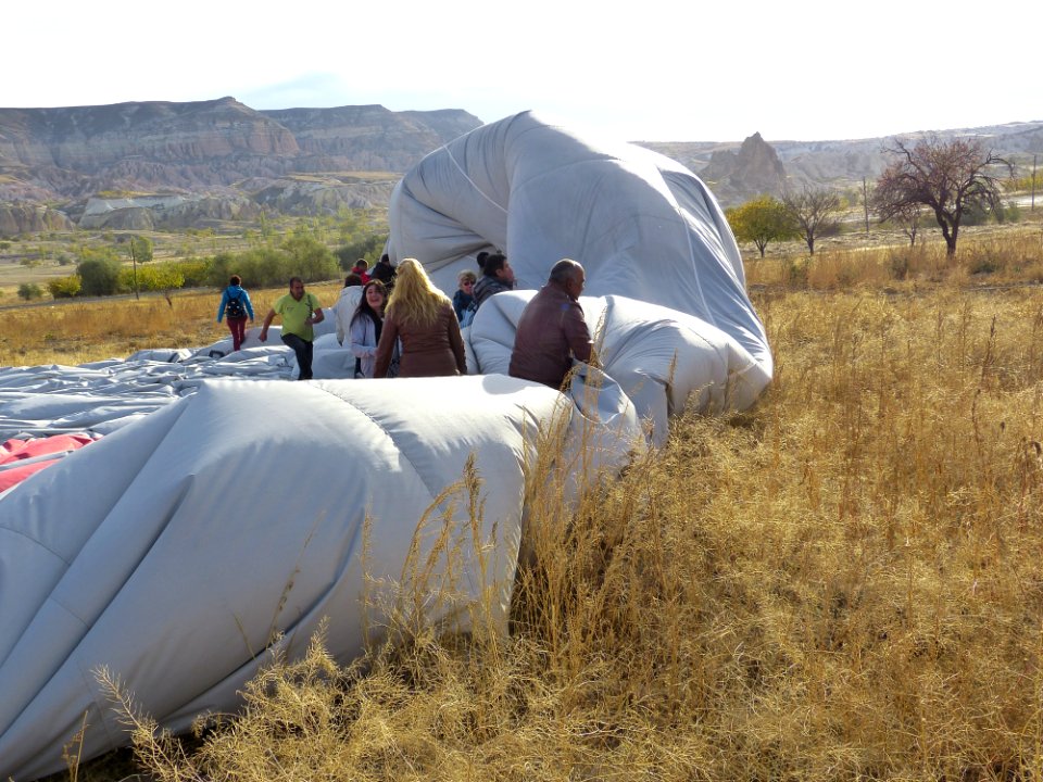 Plant Vehicle Ecoregion Tent