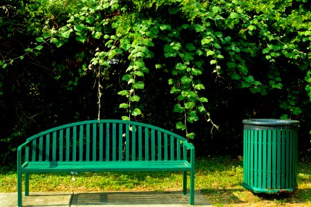 Green Nature Garden Nature Reserve photo