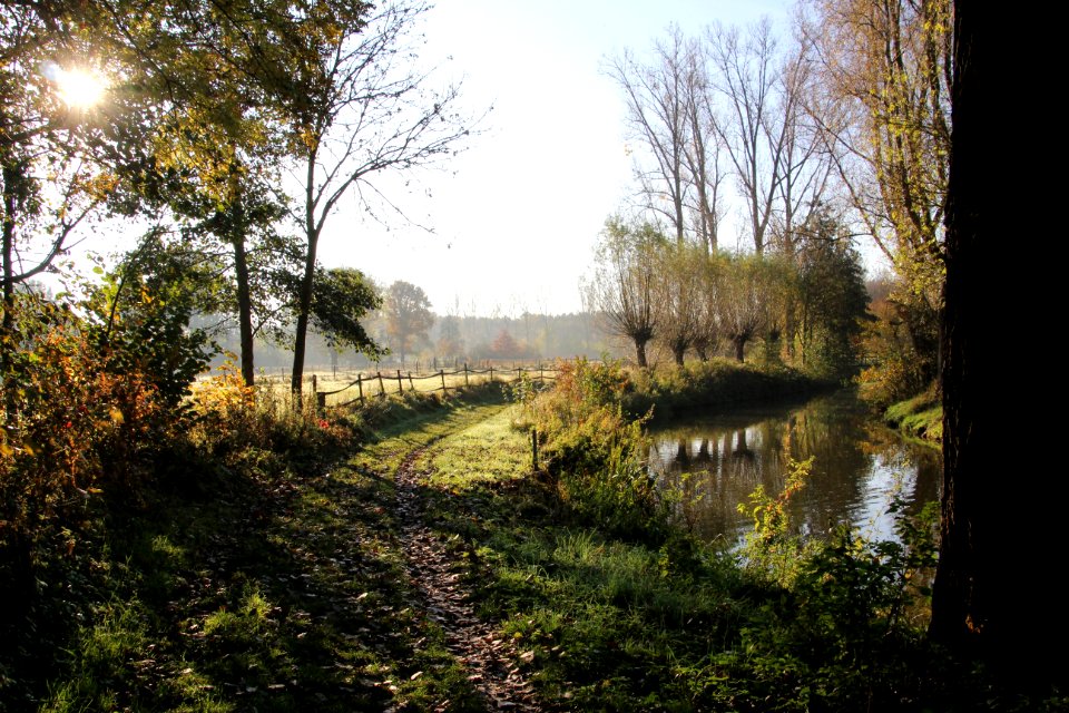 Waterway Water Canal Body Of Water