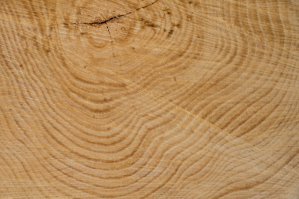 Texture annual rings grain