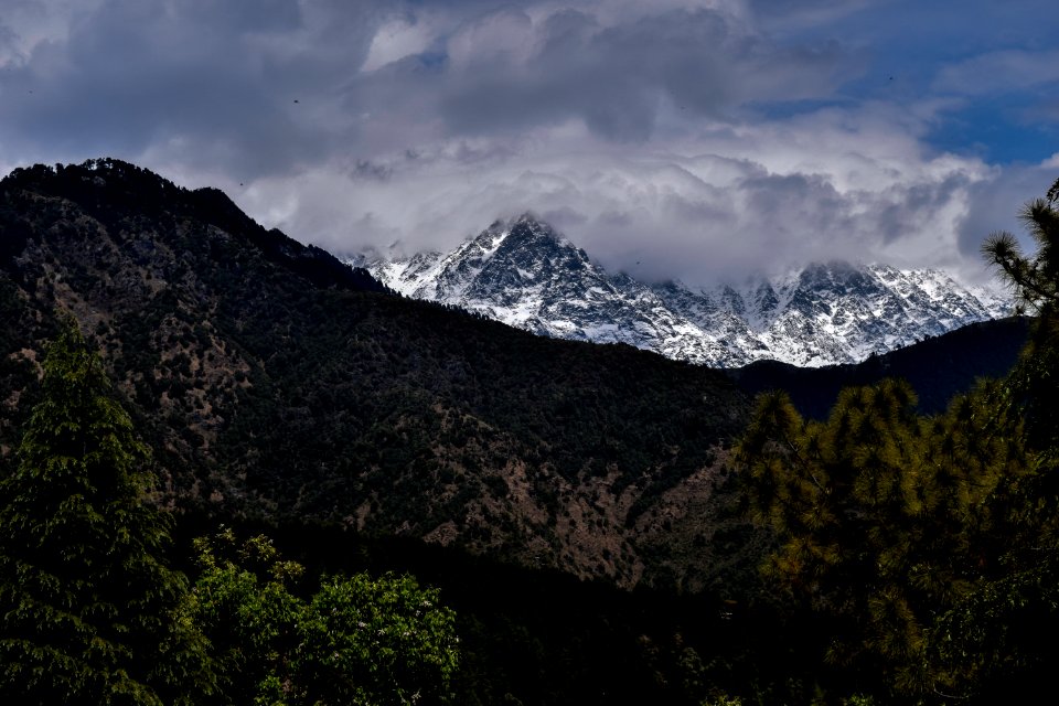 Green Mountain Photography
