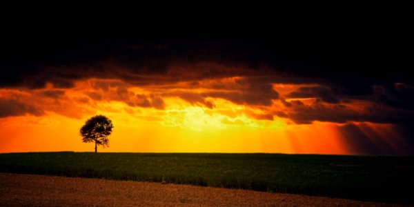 Agriculture Backlit Clouds photo