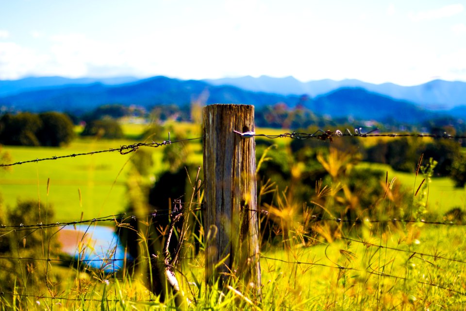 Shallow Focus Photography Of Brown Wooden Pole With Grey Barb Wires