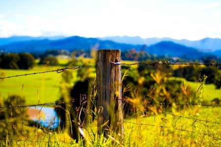 Shallow Focus Photography Of Brown Wooden Pole With Grey Barb Wires photo