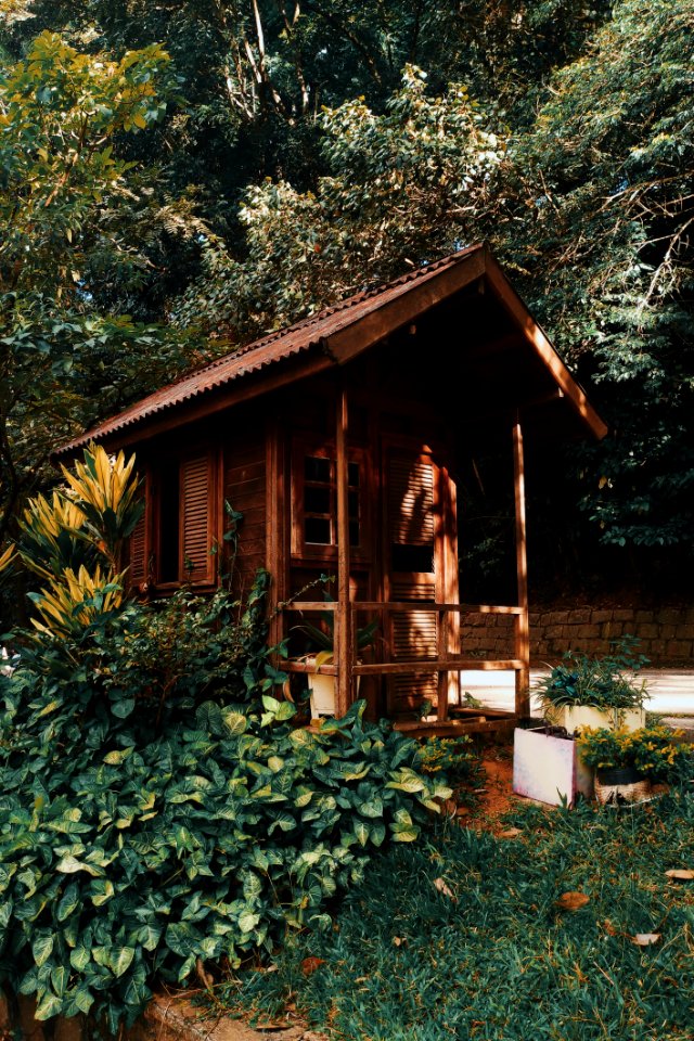 Brown Wooden House Near Plants And Trees