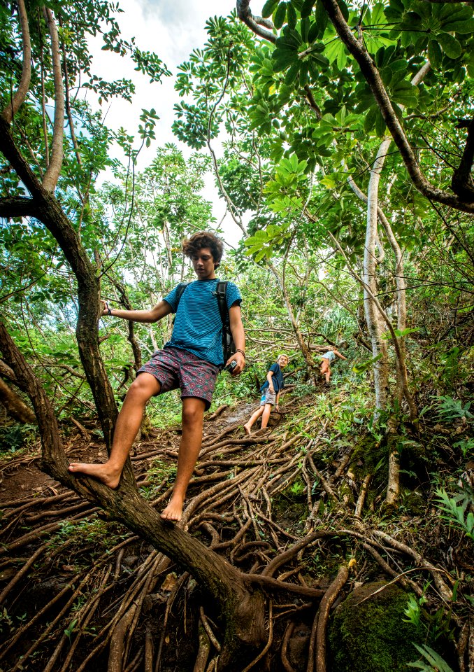 Man In Blue T-shirt Standing On Tree Trunk
