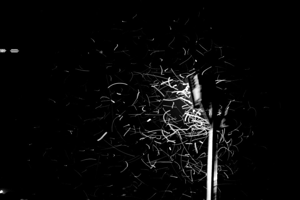 Black-and-white Blur Dark