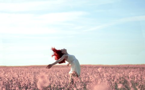 Action Carefree Cropland