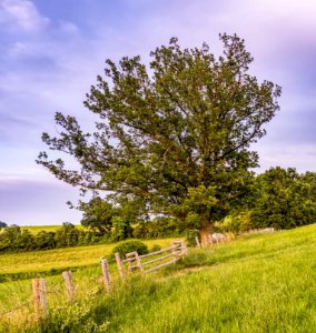 Country Countryside Daylight