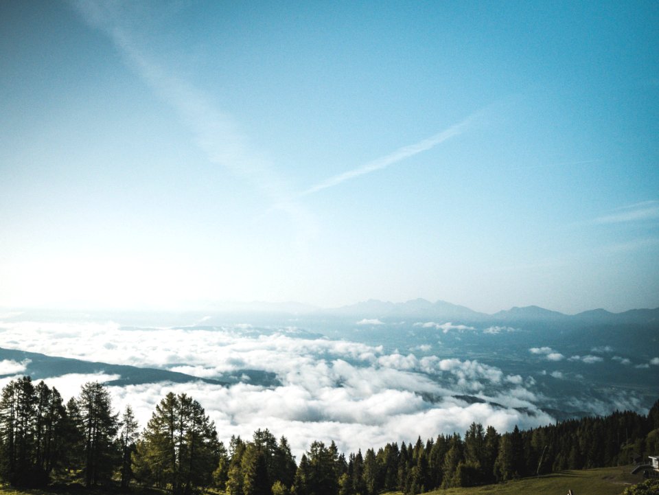 Photography Of Green Forest