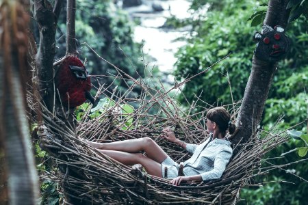 Woman Wearing Gray Long-sleeved Shirt On Nest Hammock In Selective Focus Photography photo