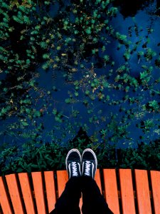 Person Wearing Black Vans Old Skool Sneakers Facing Body Of Water