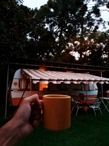 Person Holding Orange Mug