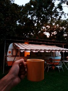 Person Holding Orange Mug photo