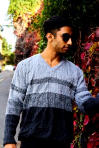 Man Wears Gray V-neck Sweater And Black Frame Sunglasses Standing Near Red Flower photo