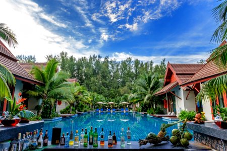 Swimming Pool Beside Houses And Trees