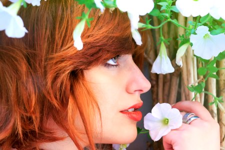 Close-up Photo Of Woman Holding White Petaled Flower photo
