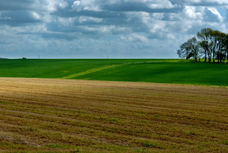 Grassland Field Sky Plain photo