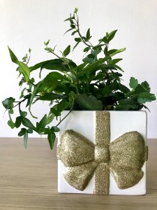 Flowerpot Plant Leaf Vase photo