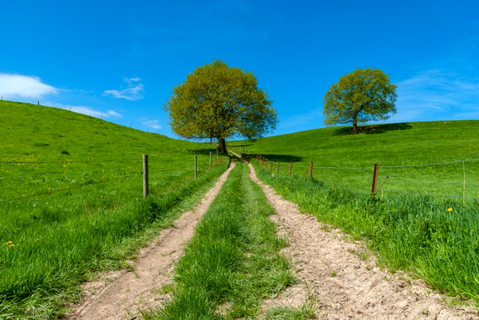 Sky Grassland Road Path