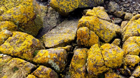 Rock Yellow Material Bedrock
