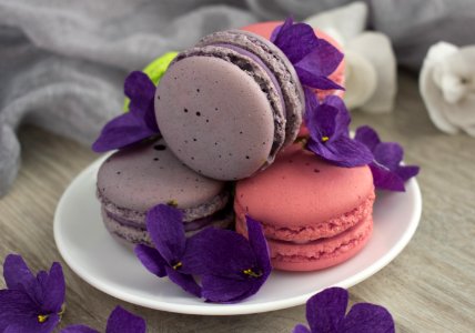 Lilac Purple Violet Macaroon photo