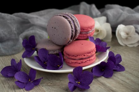 Purple Macaroon Lilac Violet