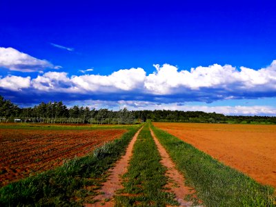 Sky Cloud Field Grassland