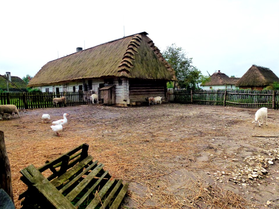 Property Rural Area Village Thatching