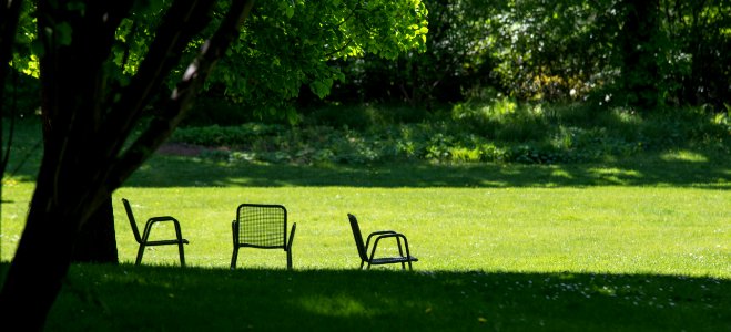 Green Nature Grass Lawn