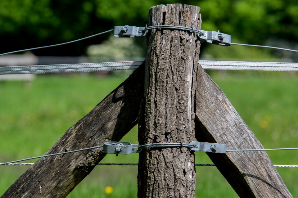Grass Tree Wire Fencing Wood