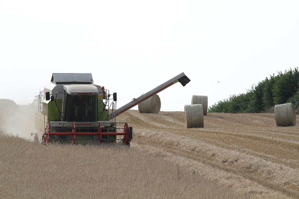 Landscape straw hay bales