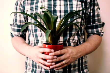 Person Holding Potted Green Leaf Plant
