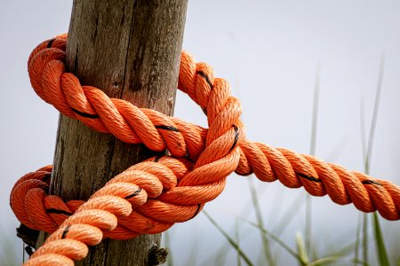 Orange Rope Wrapped Brown Wood Log