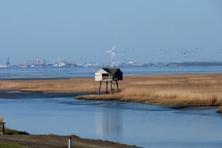 Water Wetland Sea Shore photo