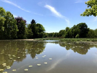 Reflection Waterway Water Nature