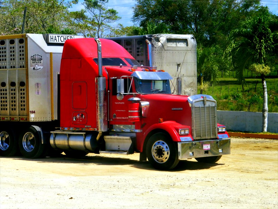Motor Vehicle Transport Vehicle Truck