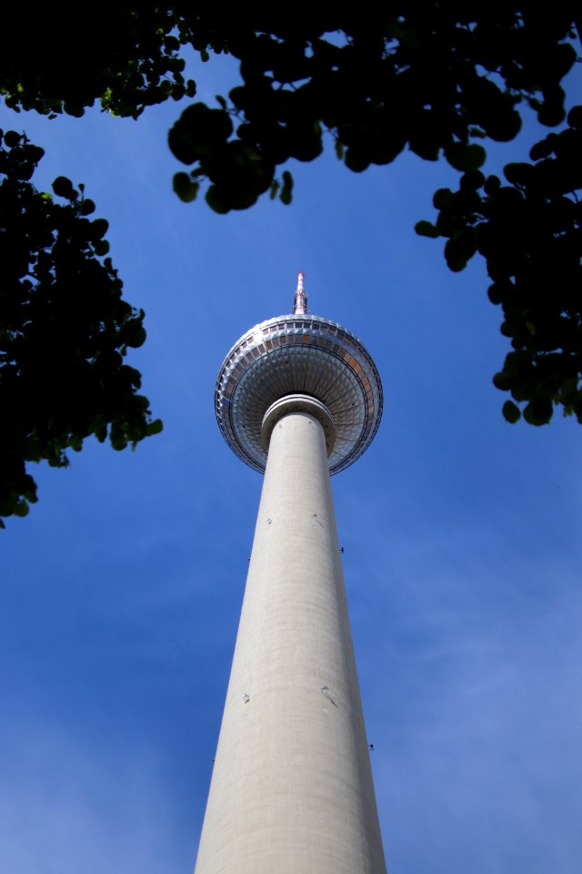 Sky Tower Landmark Daytime