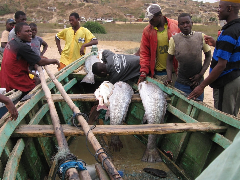 Boat fish fishermen