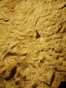 Rock Geology Soil Sand
