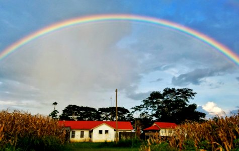 Rainbow Sky Field Cloud photo