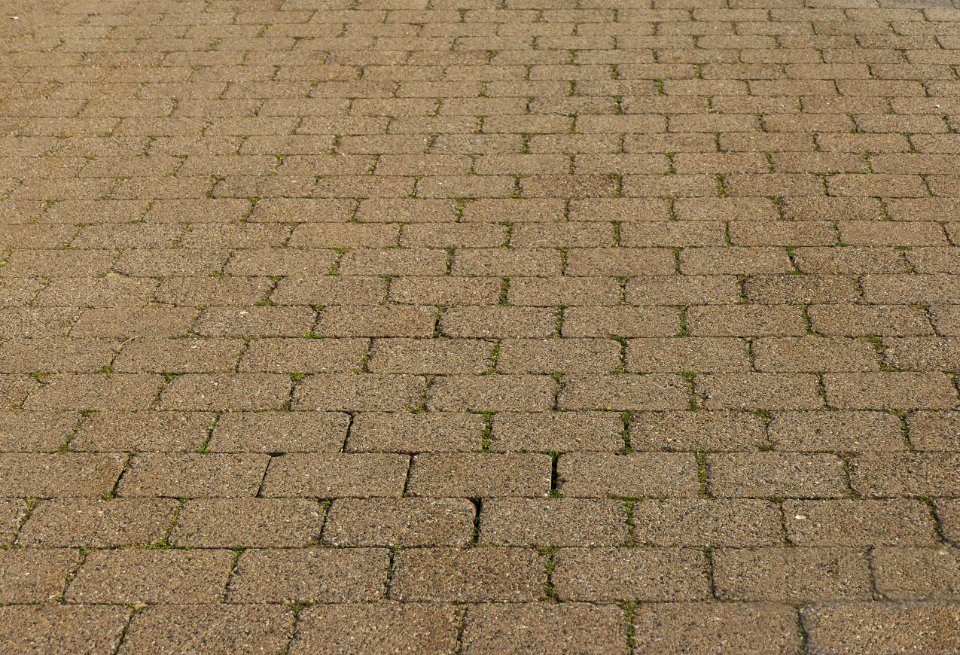 Cobblestone Road Surface Grass Line