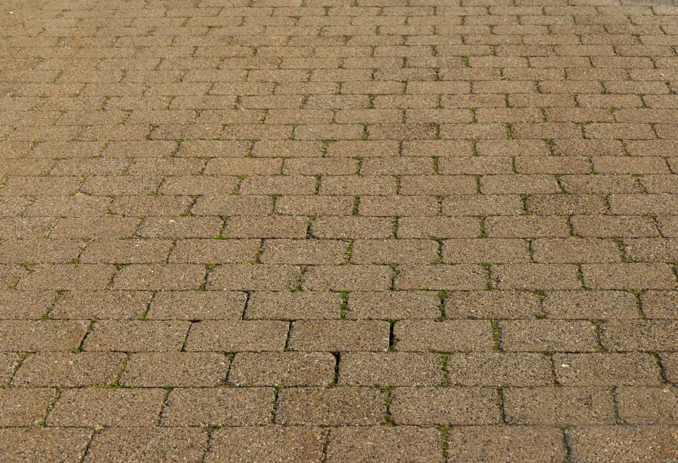 Cobblestone Road Surface Grass Line photo